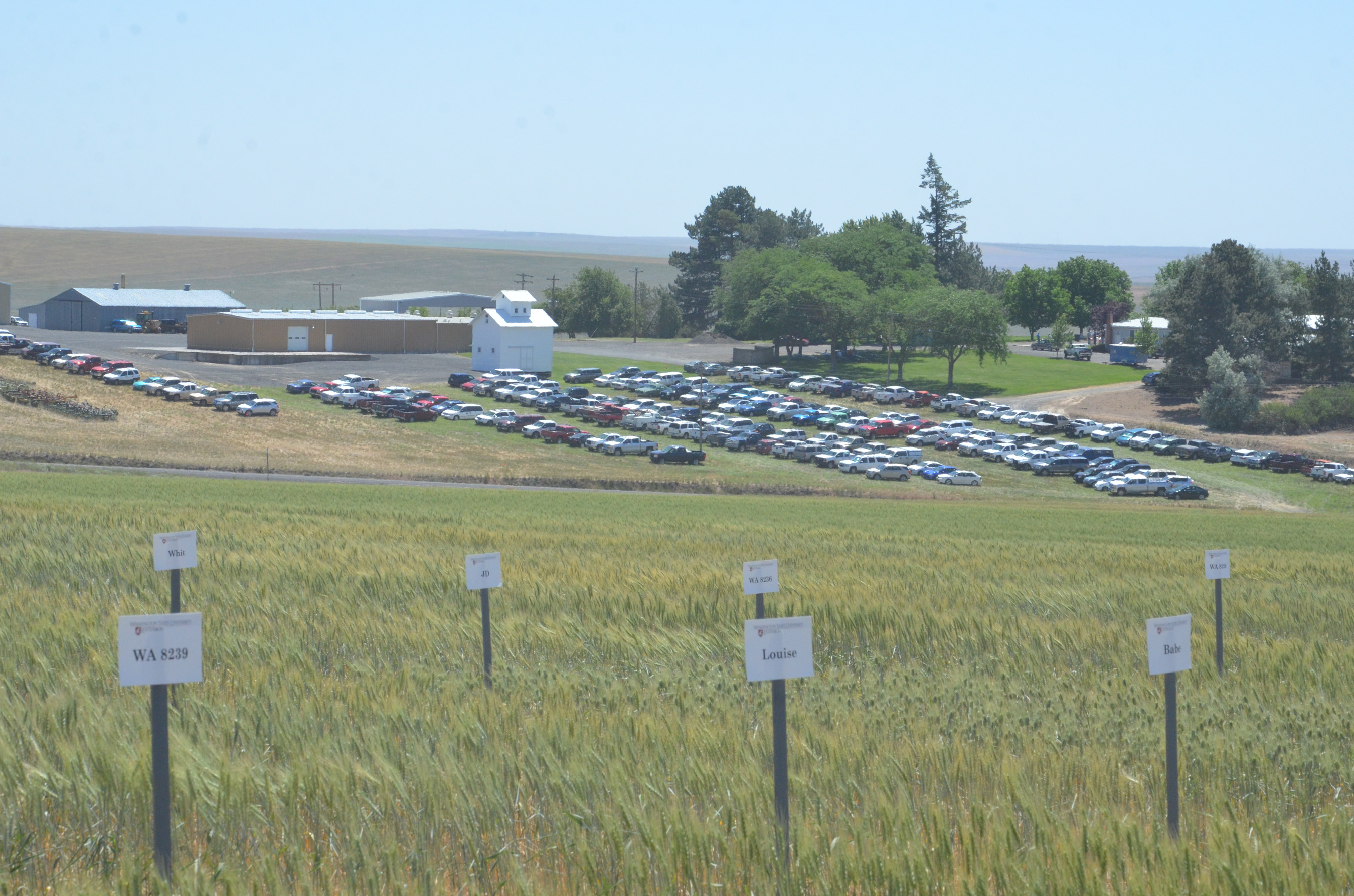 2015 Centennial Celebration at Lind Field Day Lind Dryland Research