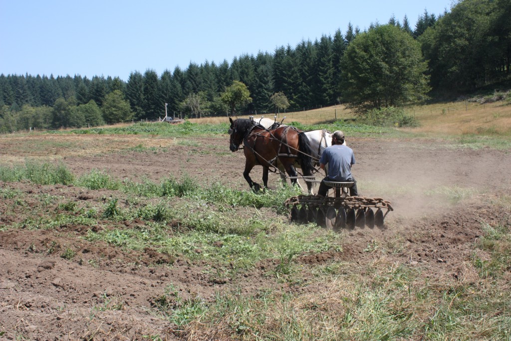 Equipment for Tilling and Cultivating Food Systems Washington State University