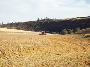 Palouse Colony Farm Combine