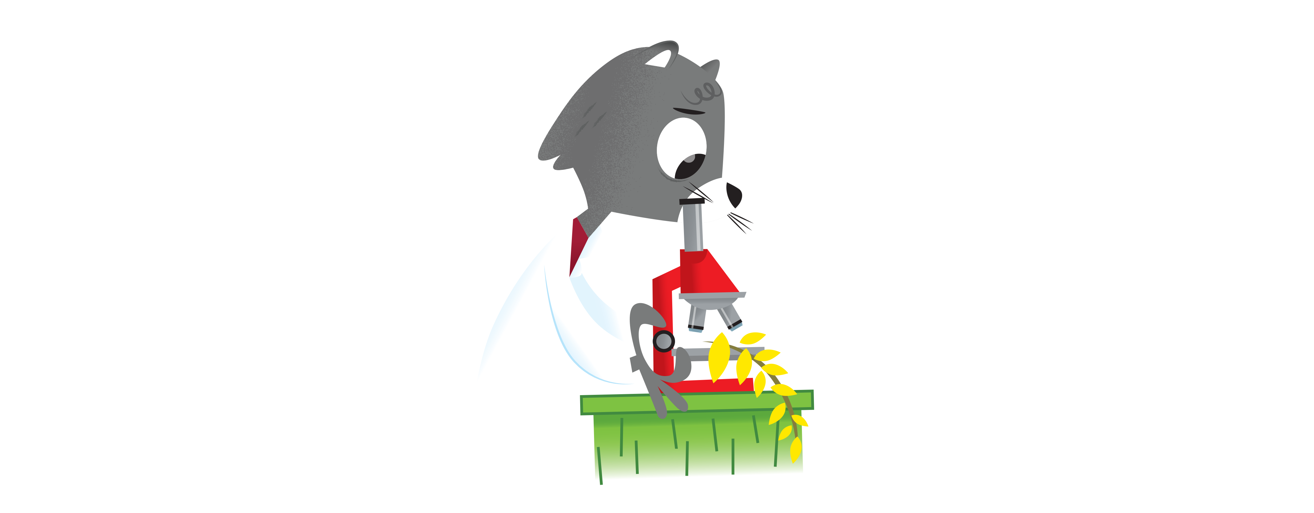 What is the smelliest fruit in the world? Ask Dr. Universe