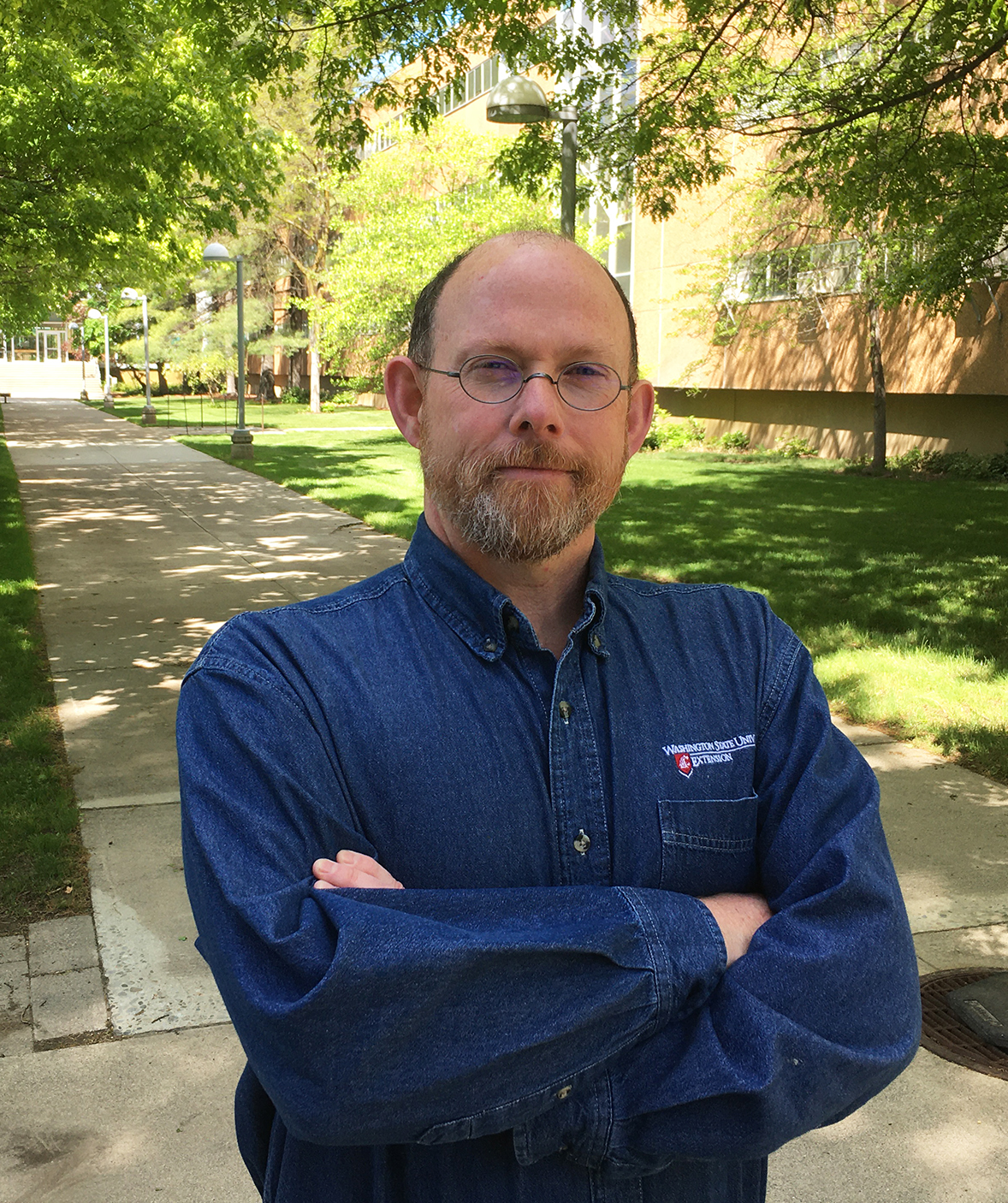 Why do garden spiders hang upside down in the middle of their webs