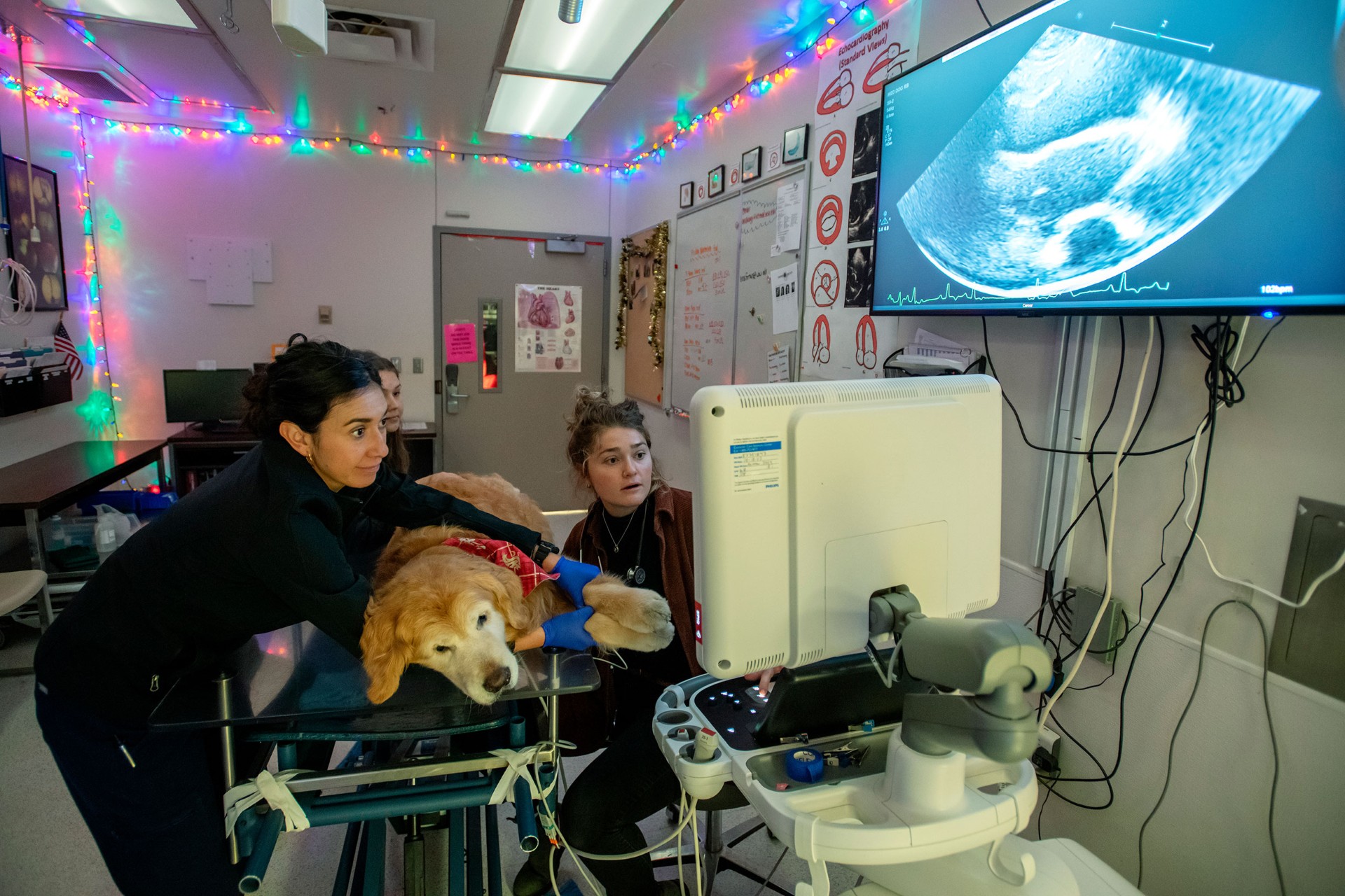 Do babies open their eyes when they are in their mom’s tummy? Ask Dr