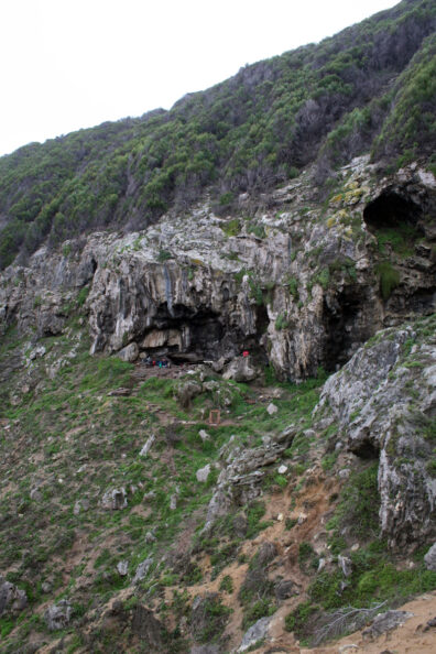 A photo of a grey, rocky cave surrounded by green vegegation