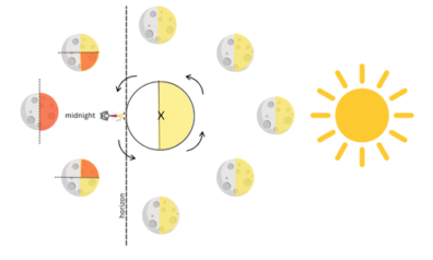A diagram showing the Earth, sun and moon phases with a cat at the midnight position