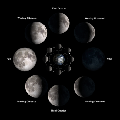 A diagram showing photos of the moon during different phases