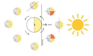 A diagram showing the Earth, sun and moon phases with a cat at the noon position.