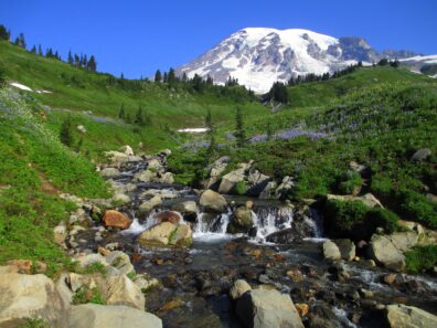 The snowy peak of Mt Rainier peeks above a landscape that's green with vegetation. The foreground contains the rocky upper section of a waterfall, pouring water into a stream.