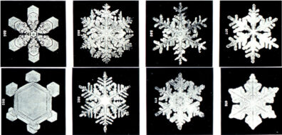 Eight types of snowflakes have different shapes but all have six sides.