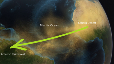 A map showing dust blowing from the Sahara (Africa) across the Atlantic Ocean to the Amazon (South America). A green arrow highlights the path