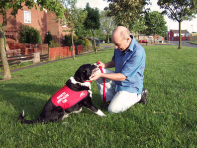 A bald white man wearing light pants and a blue shirt pets a medical service dog in a red vest