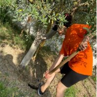 woman in orange shirt shoveling under tree
