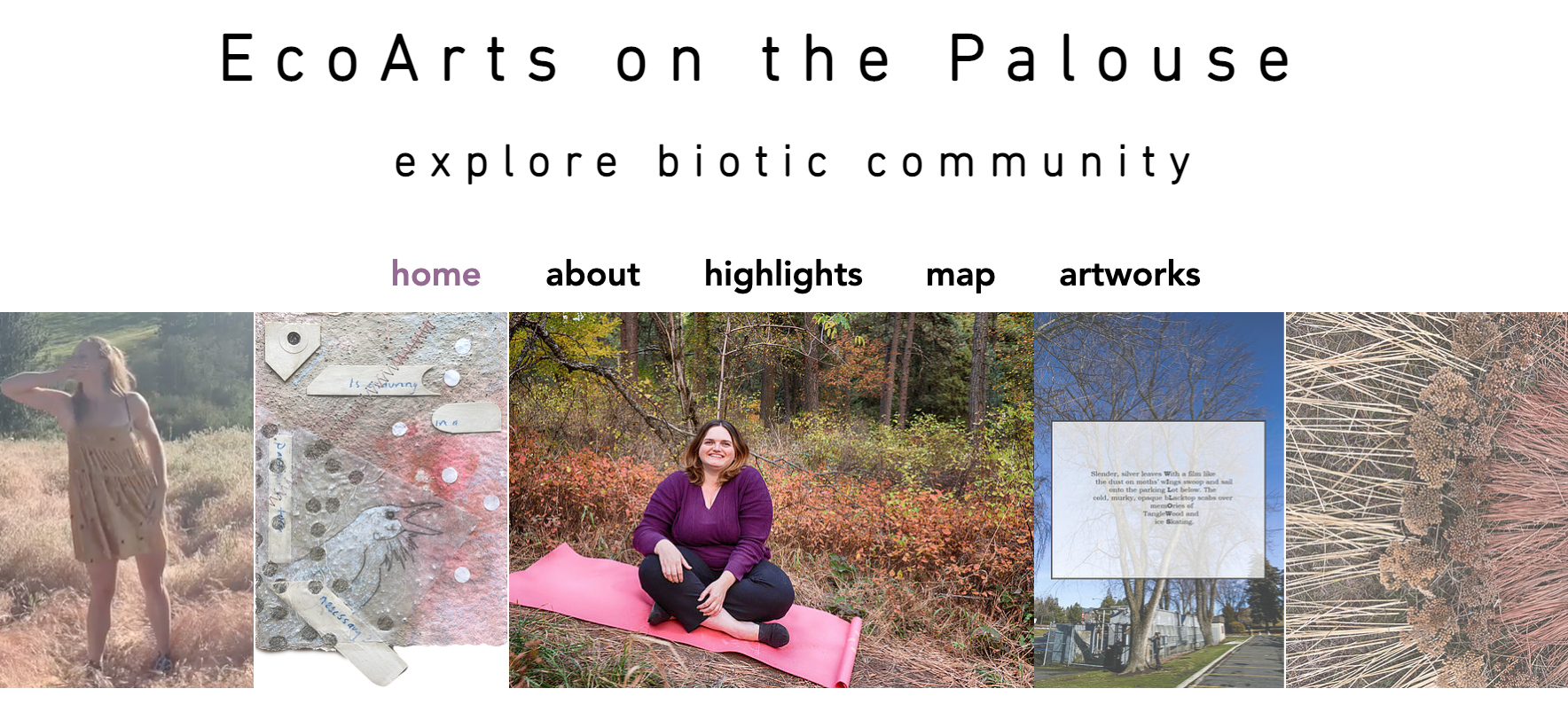 Wsu writing placement image