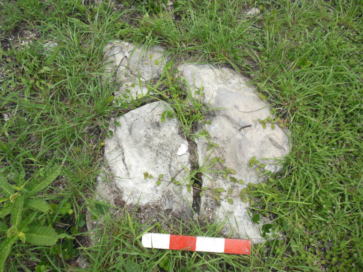 Lithic Analysis Lab Research | Lab Site for Lithics | Washington State University