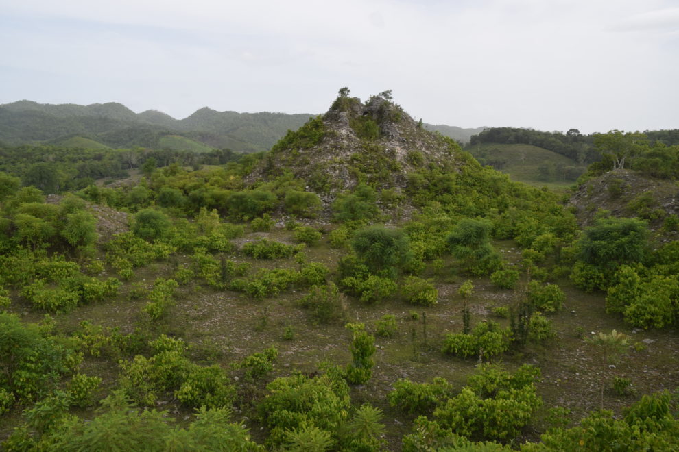 Contact Information Lab Site for Lithics Washington State University