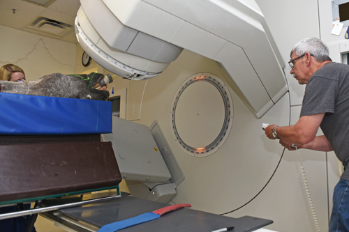 LINAC