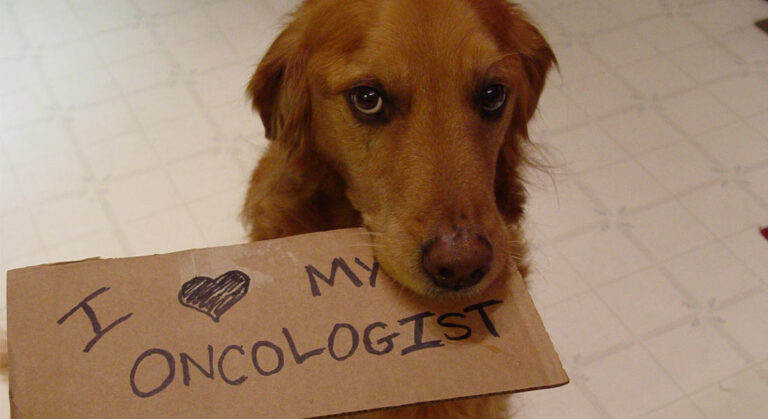 Canine Osteosarcoma Veterinary Teaching Hospital Washington State 