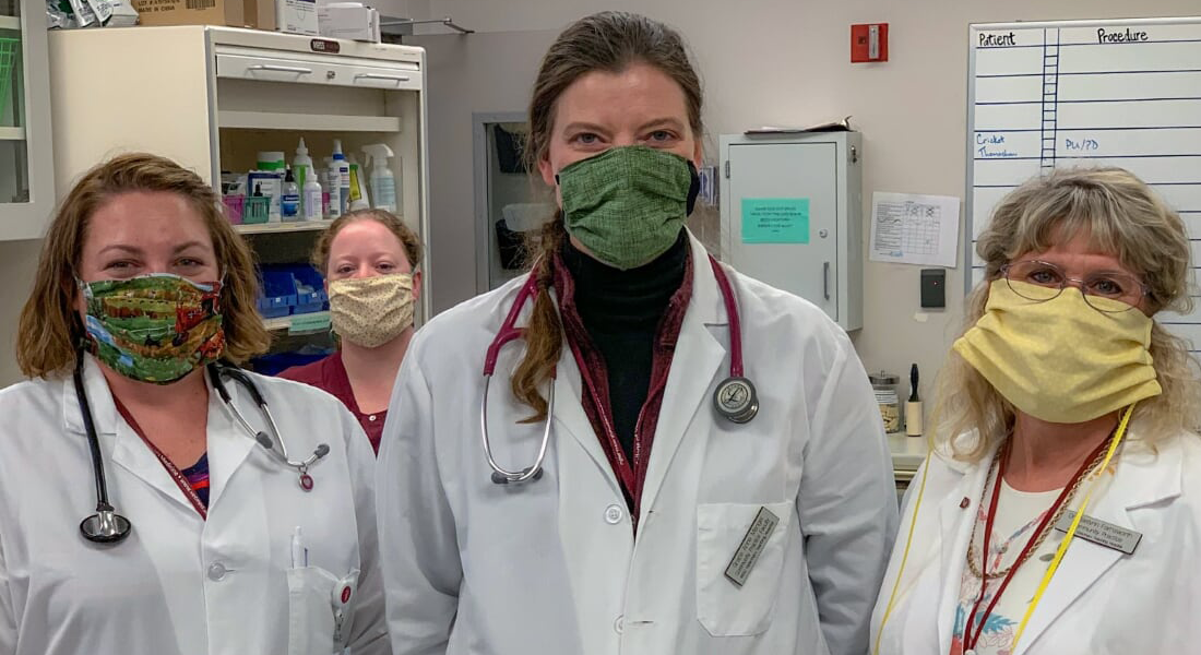 Coming together 650 masks and counting College of Veterinary