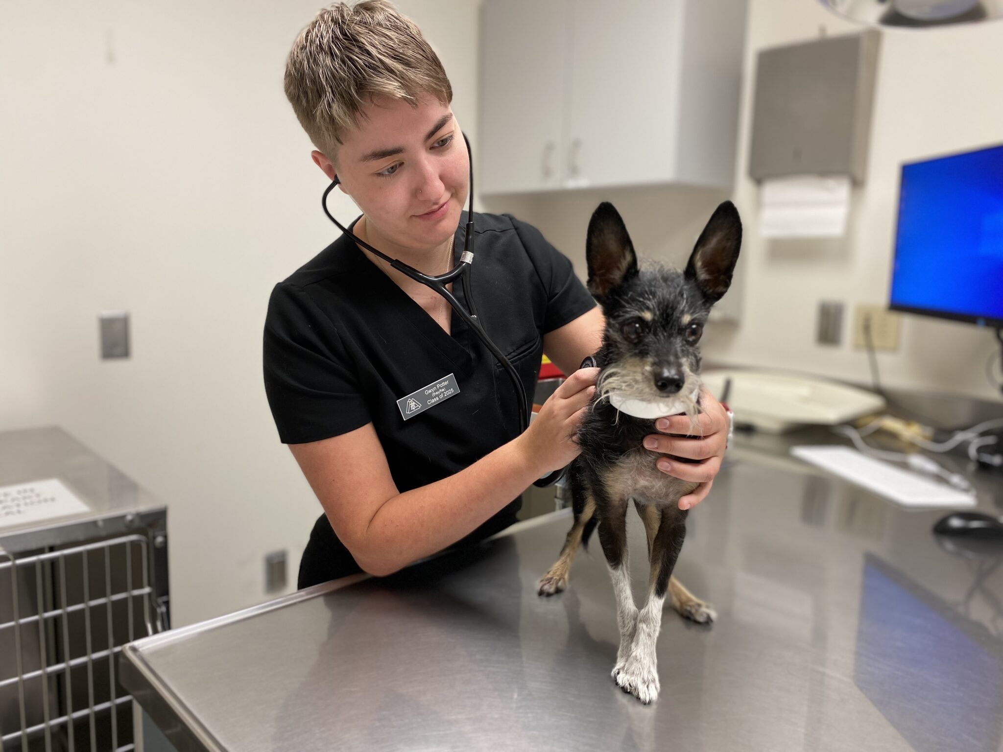 Meet the Class of 2025 Gwyn Potter College of Veterinary Medicine