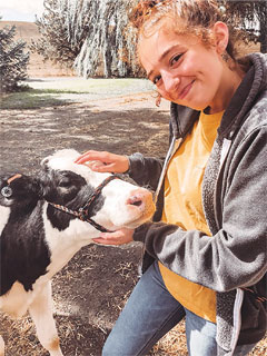 Student scratching calf's head