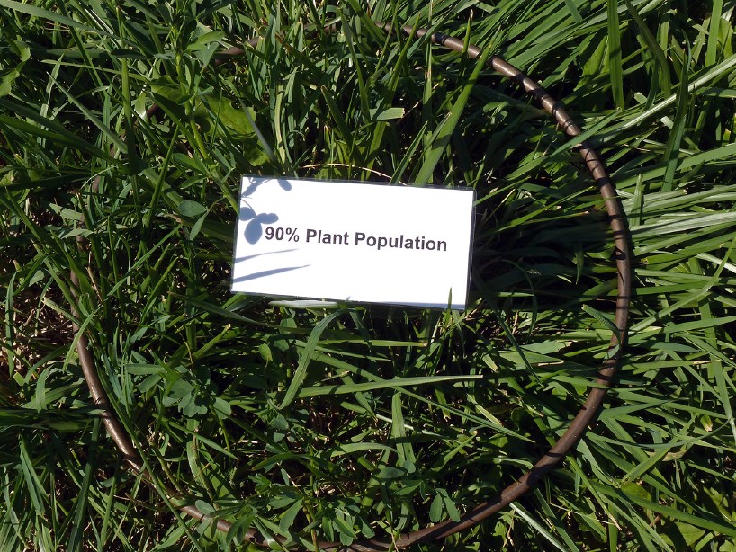 Pasture with 90% desirable plant population