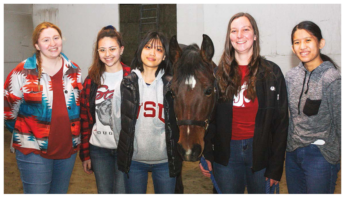 Collegiate Horsemen's Association