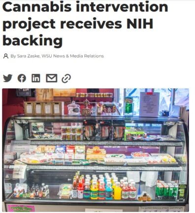 Article screenshot showing image of cannabis retailer