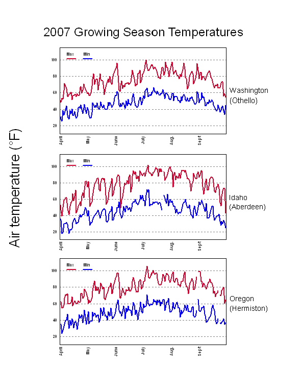 weather Potatoes at WSU Washington State University