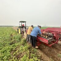A picture of a one row potato digger.