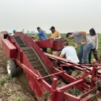 A picture of a one row potato digger.