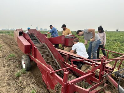A picture of a one row potato digger.
