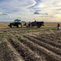 A picture of a potato digger-bagger.