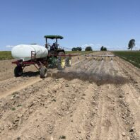 A picture of a chemigation simulation sprayer in a field of potatoes.