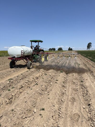 A picture of a chemigation simulation sprayer in a field of potatoes.