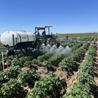 A picture of a chemigation simulation sprayer in a field of potatoes.
