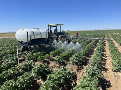A picture of a chemigation simulation sprayer in a field of potatoes.