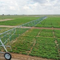 A picture of a linear irrigation system.