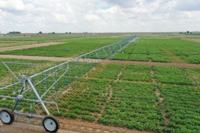 A picture of a linear irrigation system.