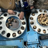 A picture of potato planting discs being used during planting.