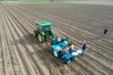 A picture of a small plot potato planter in the field.