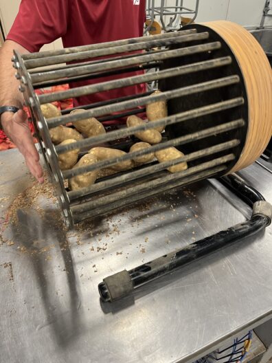 A picture of a small potato bruise barrel with potatoes inside.