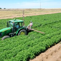 A picture of a person operating a spray boom in a small potato research plot.