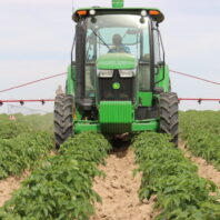 A picture of a tractor with two spray booms in a potato field.