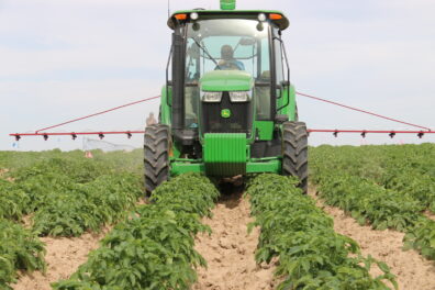 A picture of a tractor with two spray booms in a potato field.