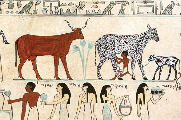 Egyptian painting of cattle and workers