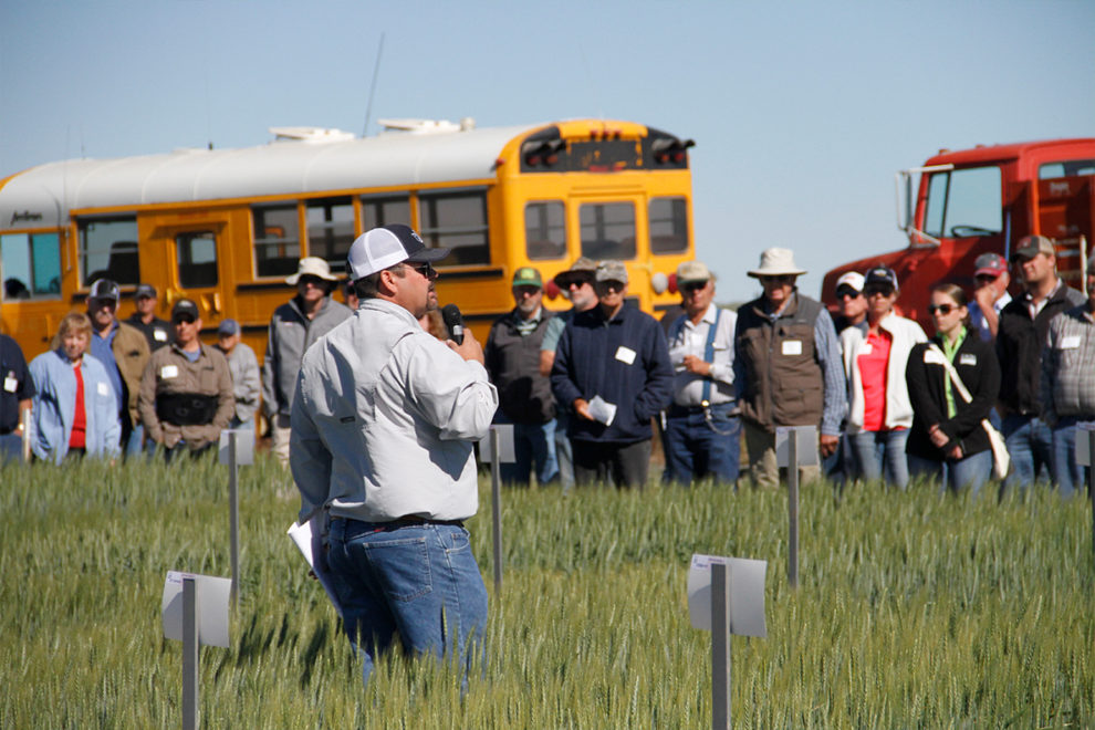 103rd Lind Field Day looks at new crop varieties, soil health for