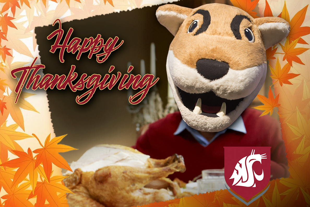 Butch T. Cougar at the dinner table with a Thanksgiving Day turkey.