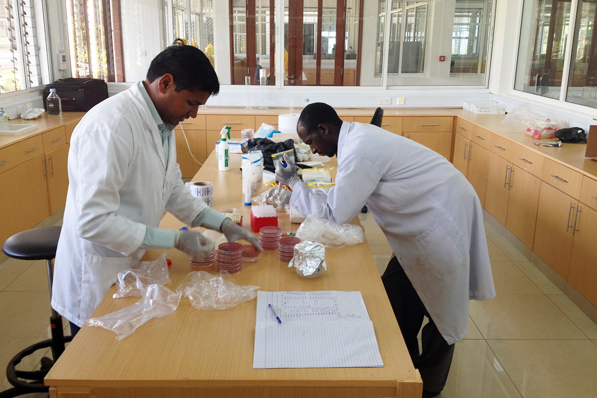 Murugan Subbiah (left) and Beatus Lyimo process fecal samples.