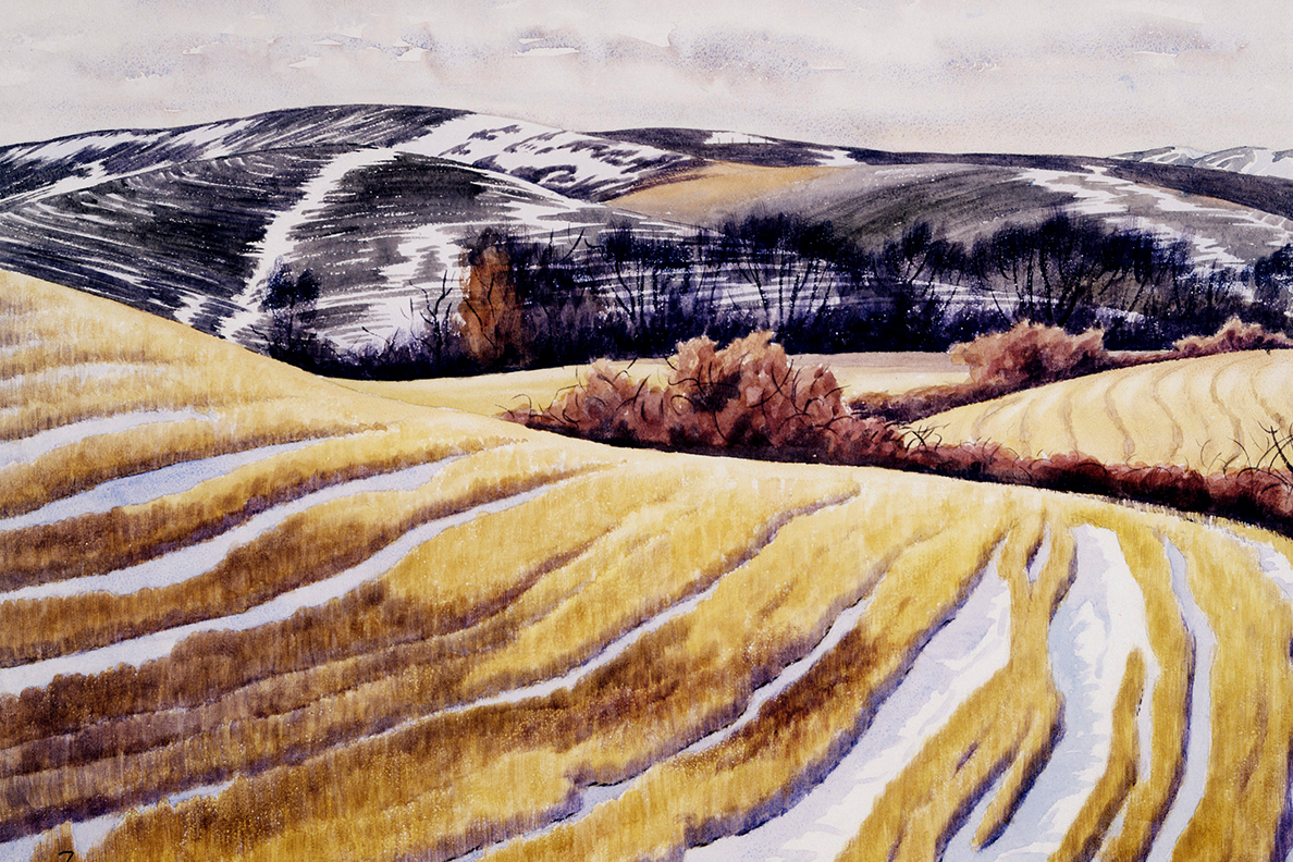 An image of a snowy Palouse.