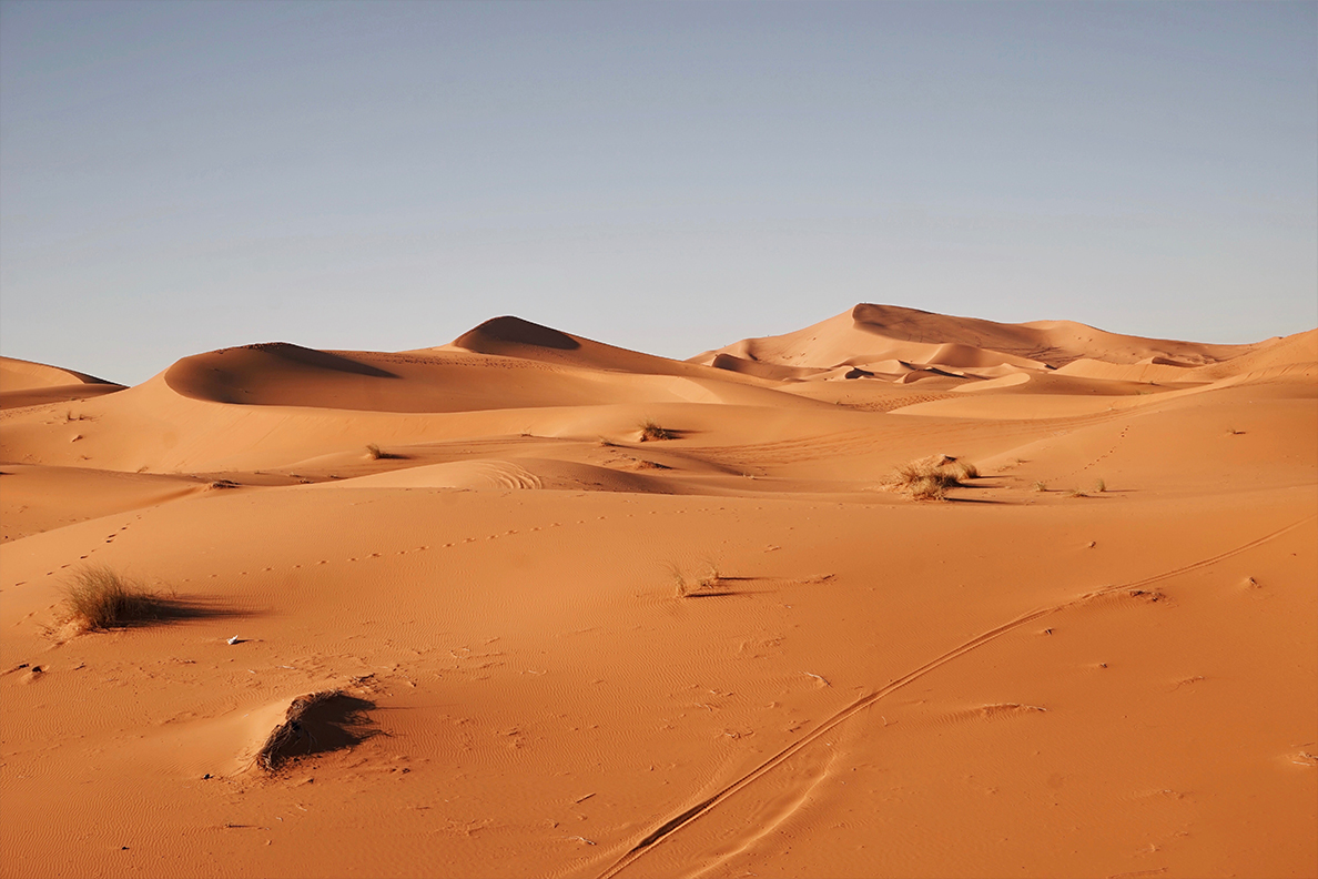 The Saharan desert.