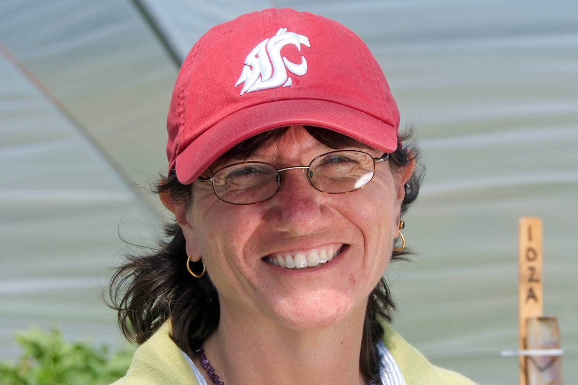 Carol Miles to direct WSU's Mount 